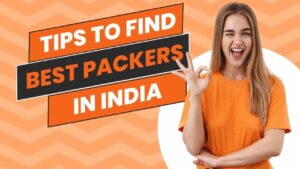 tips to find best packers in India